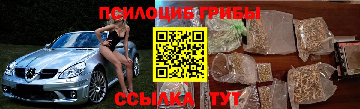 Псилоцибиновые грибы прущие грибы  Вход с VPN  Котельники 